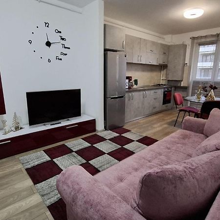 Ludi House Apartment Târgu-Mureş Esterno foto