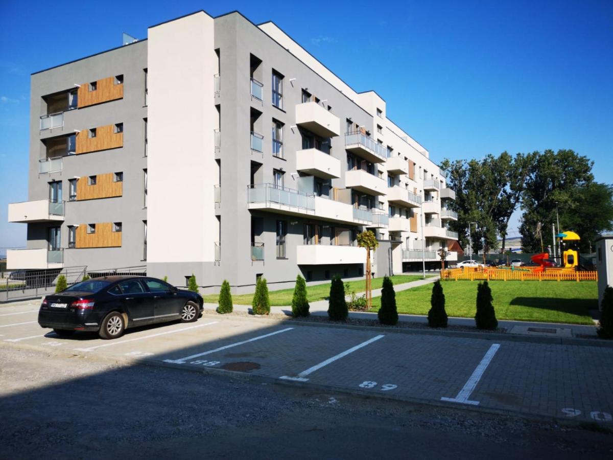 Ludi House Apartment Târgu-Mureş Esterno foto